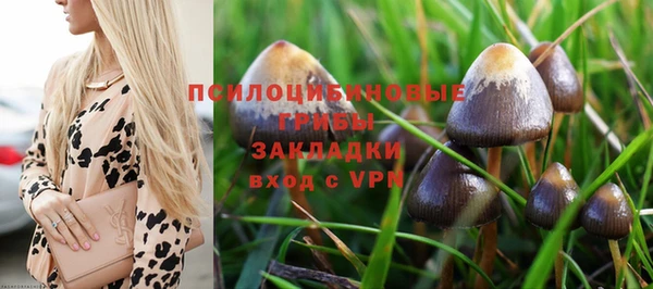 дмт Балахна