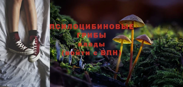 дмт Балахна